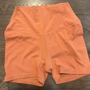 paragon fitwear shorts